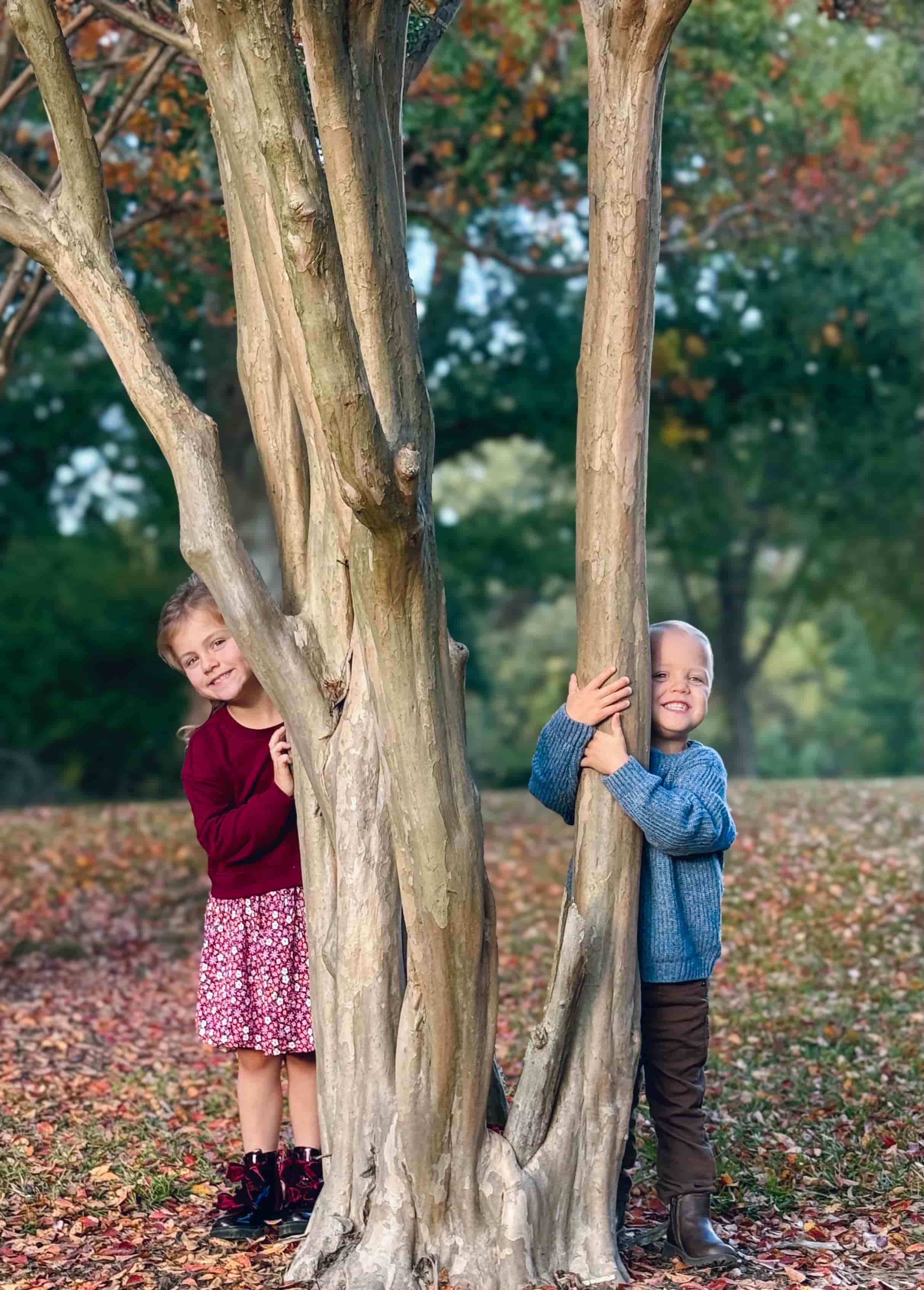 The Anderson Children